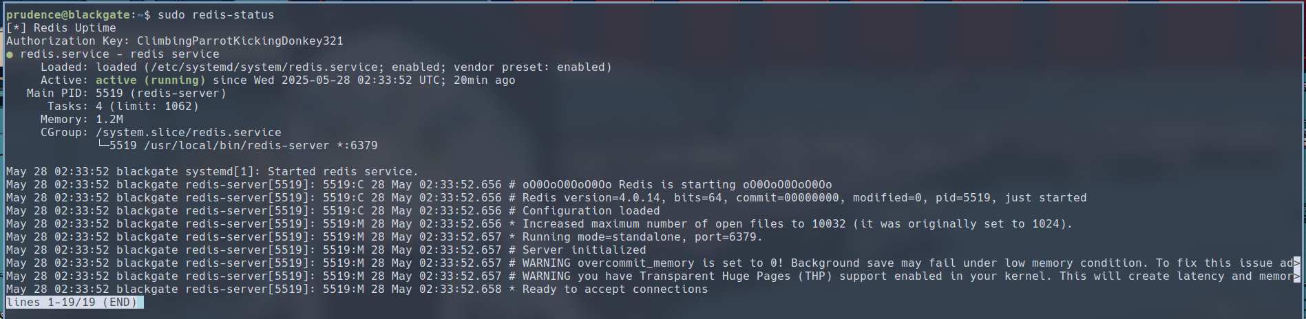 redis_systemd_status