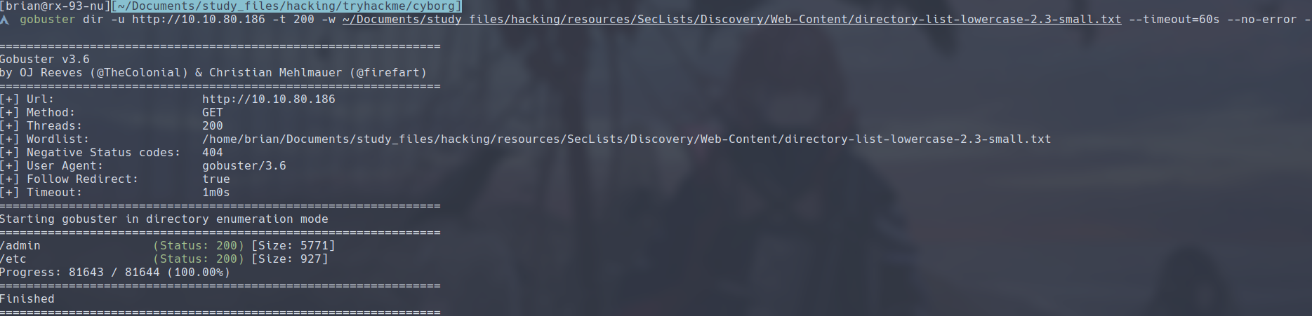 gobuster scan